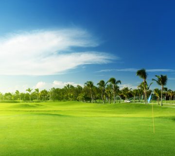 M&Aアシスト　ゴルフ